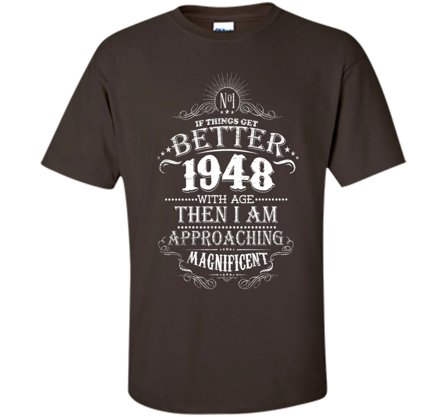 69 Years Old 1948 Vintage Awesome T-Shirt Gift Birthday