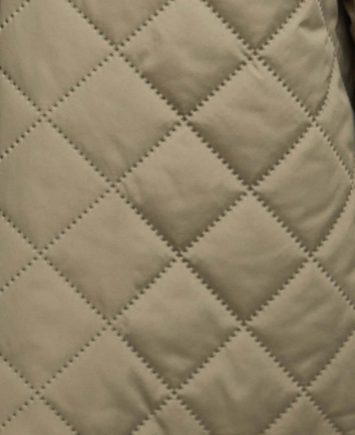 Anise Quilted Jacket