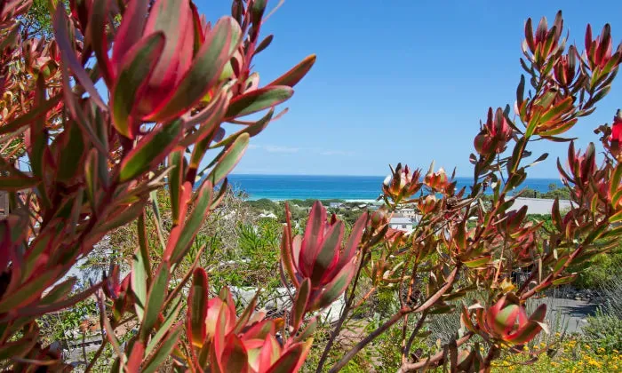 Cape Town: 1 or 2-Night anytime stay for two at 55 on Main Boutique & Spa