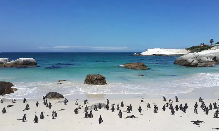 Cape Town: 1 or 2-Night anytime stay for two at 55 on Main Boutique & Spa