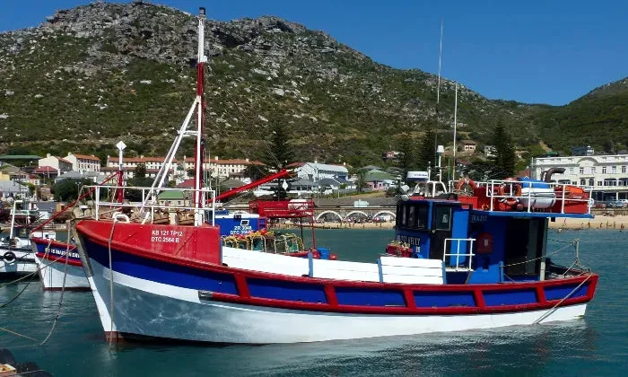 Cape Town: 1 or 2-Night anytime stay for two at 55 on Main Boutique & Spa