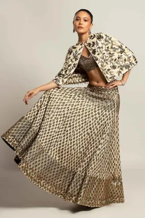 Ivory Faded Lissome Embroidered Lehenga Set