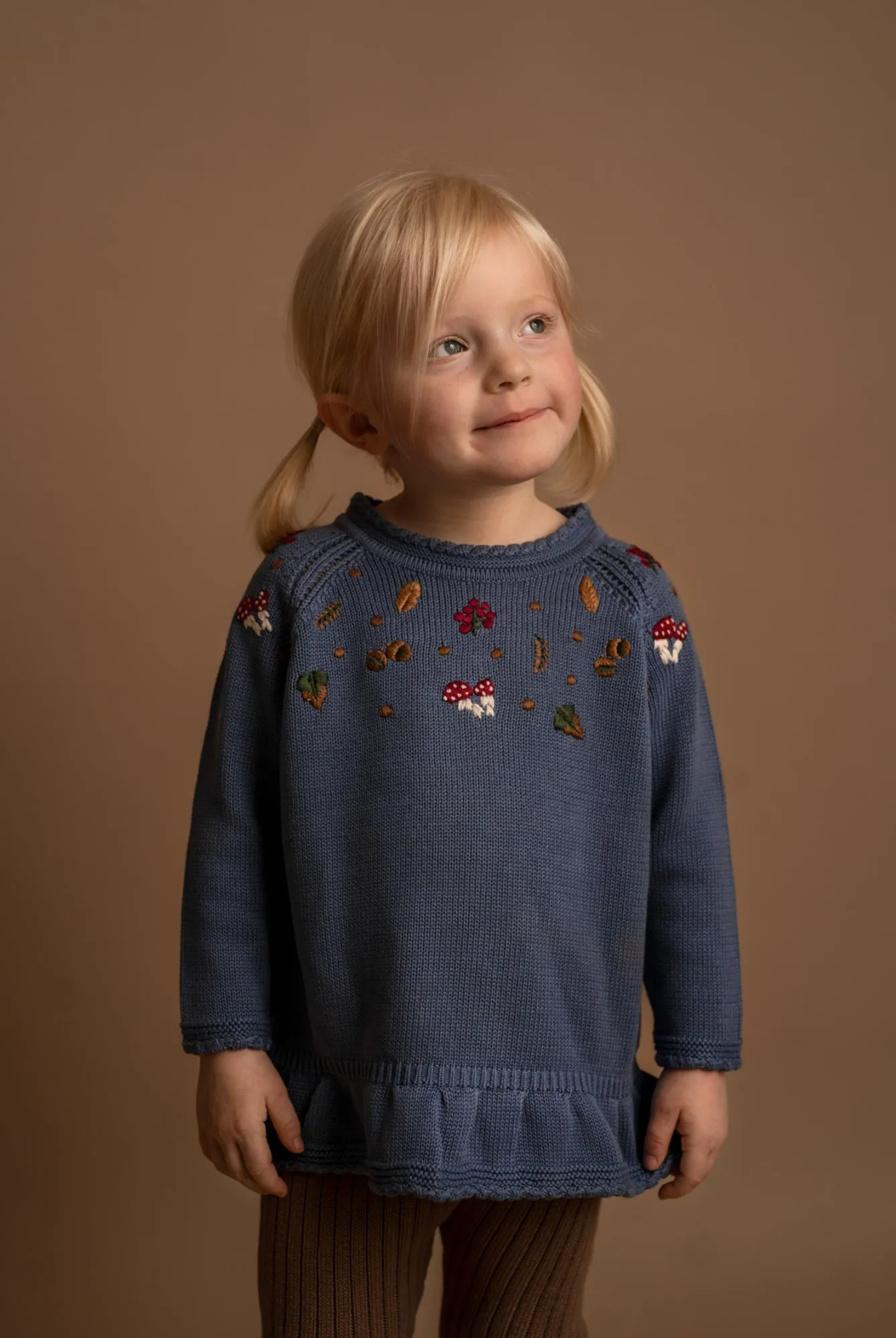 Knitted Jumper - Embroidered Mushrooms - Moonlight Blue