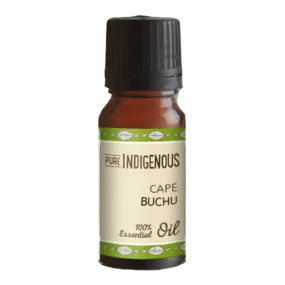 Pure Indigenous Cape Buchu Essential Oil