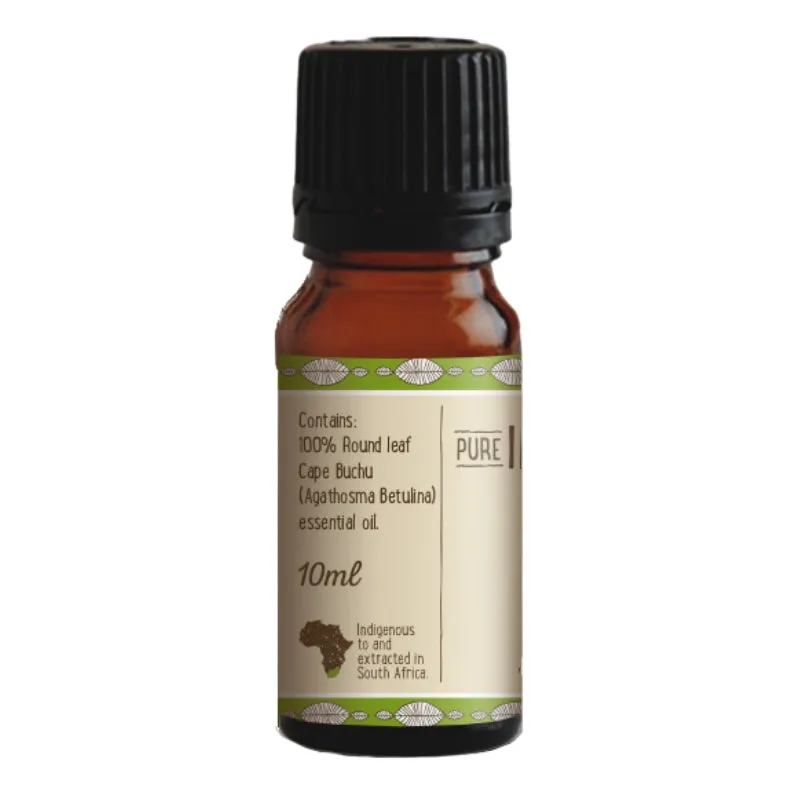 Pure Indigenous Cape Buchu Essential Oil