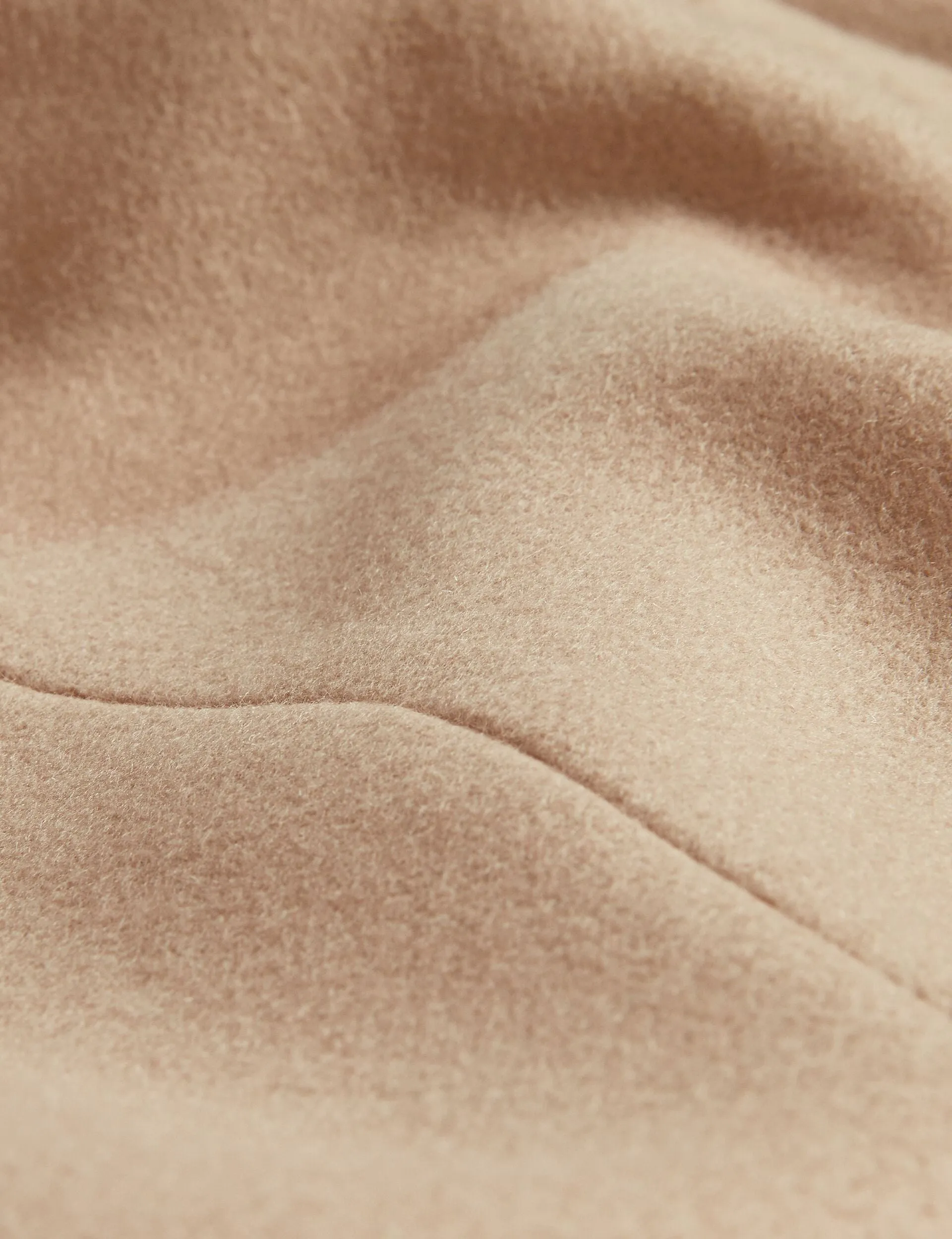 ROSE | CAMEL