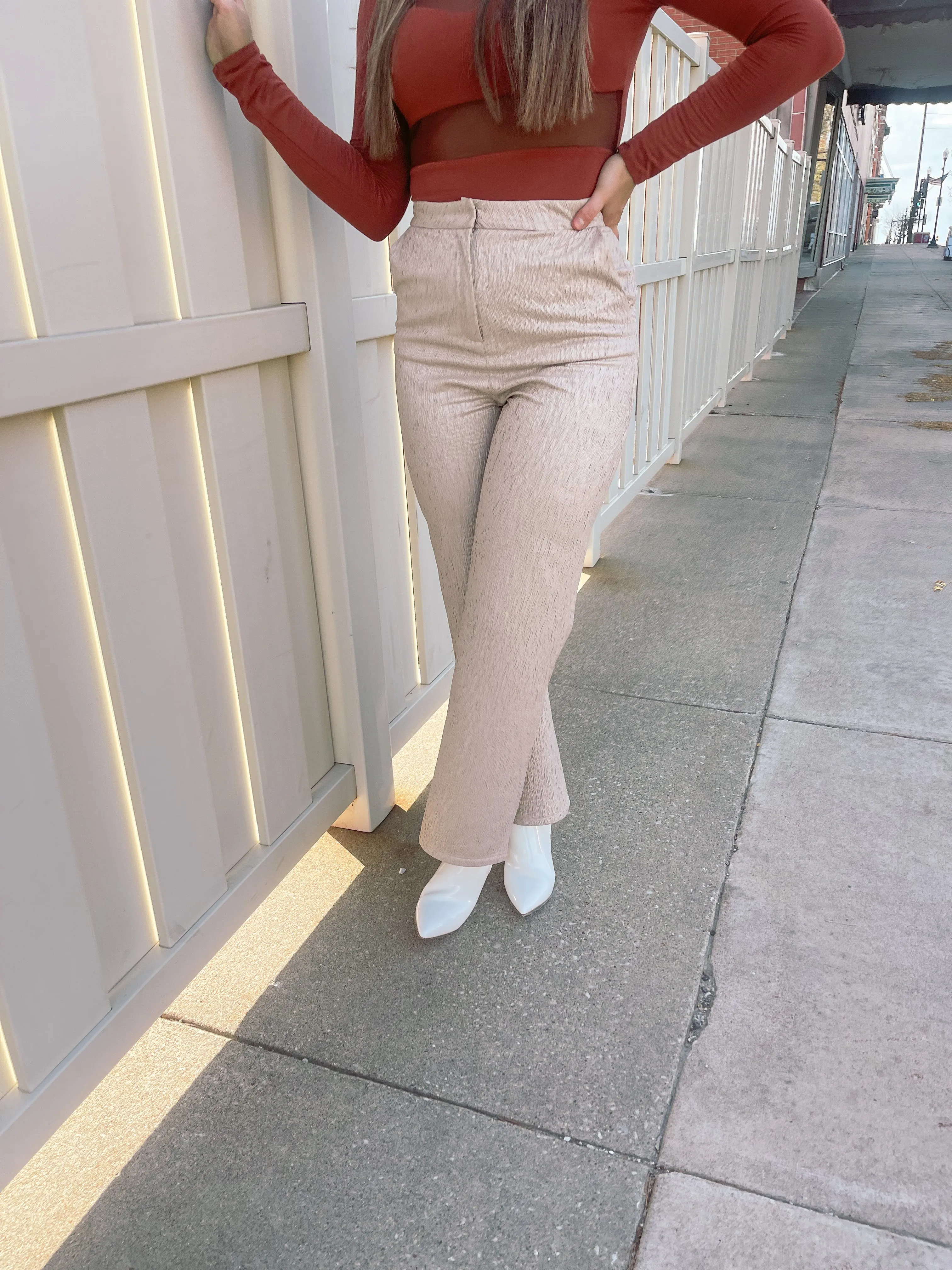Silver Beige Wide Leg Pant
