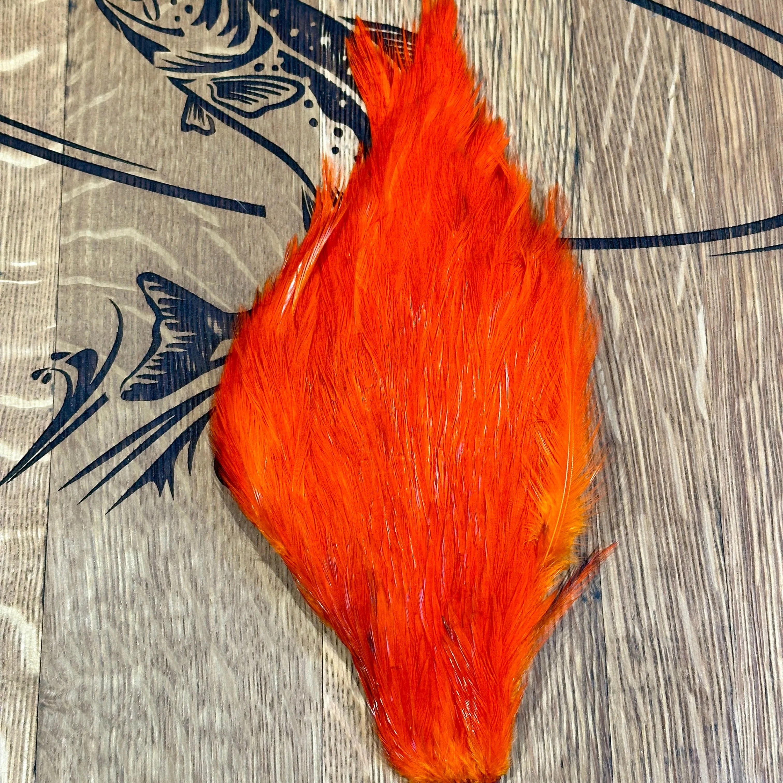 Veniard Chinese Cock Neck